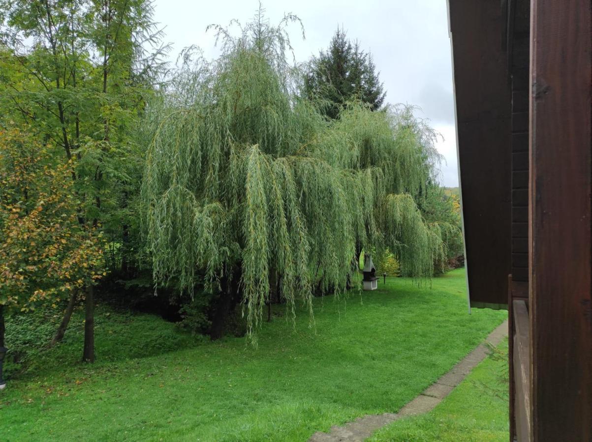 Za Potokiem Villa Solina  Exterior photo